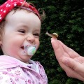 baby-367438_640
